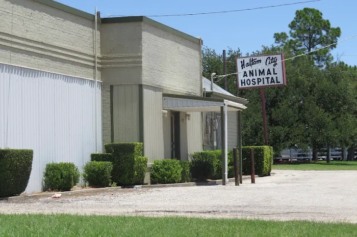 Haltom City Animal Hospital Picture 6