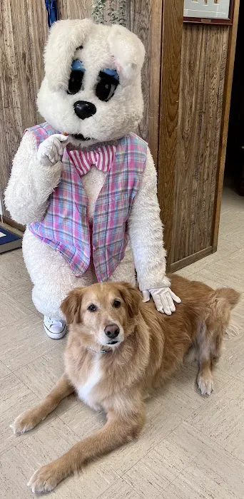 Keller Animal Clinic Picture 4