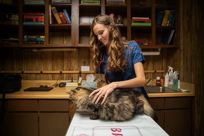 Keller Animal Clinic Picture 5