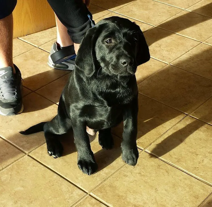 North Texas Veterinary Clinic Picture 7