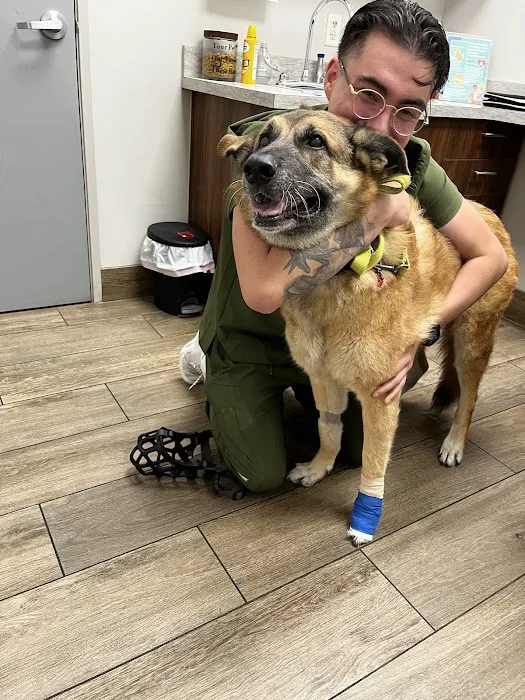 North Texas Veterinary Clinic Picture 4