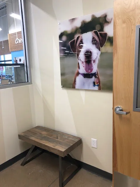 Vetco Total Care Animal Hospital Picture 4