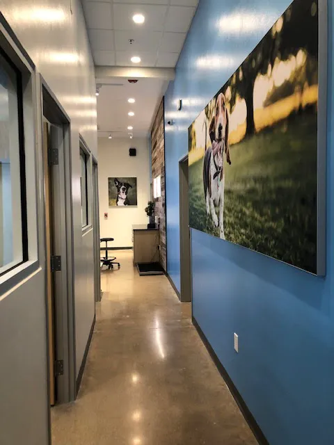 Vetco Total Care Animal Hospital Picture 10
