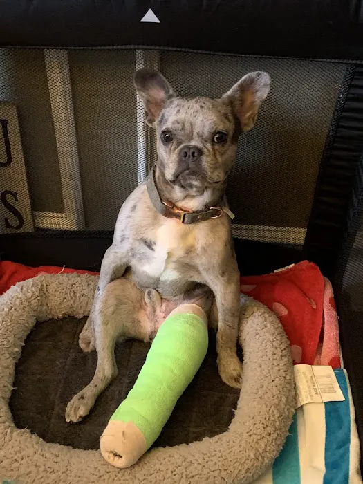 Watauga Animal Hospital Picture 3
