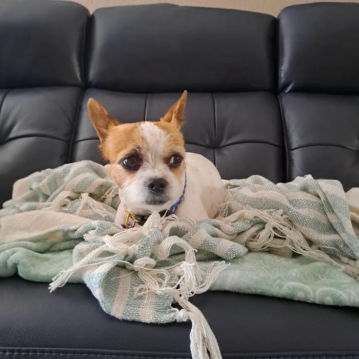 Banfield Pet Hospital Picture 9