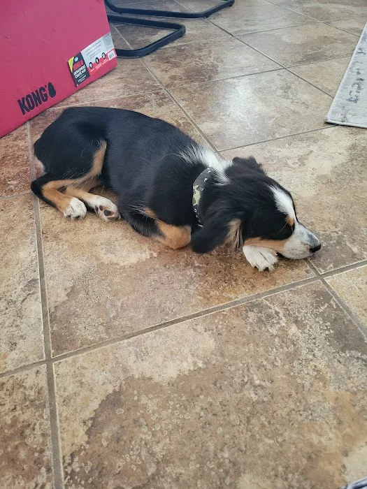 Banfield Pet Hospital Picture 2