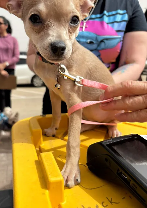Texas Paw Care - Low Cost Pet Vaccinations Picture 9