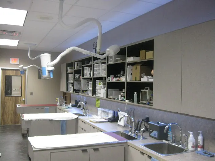 Summerfields Animal Hospital Picture 2