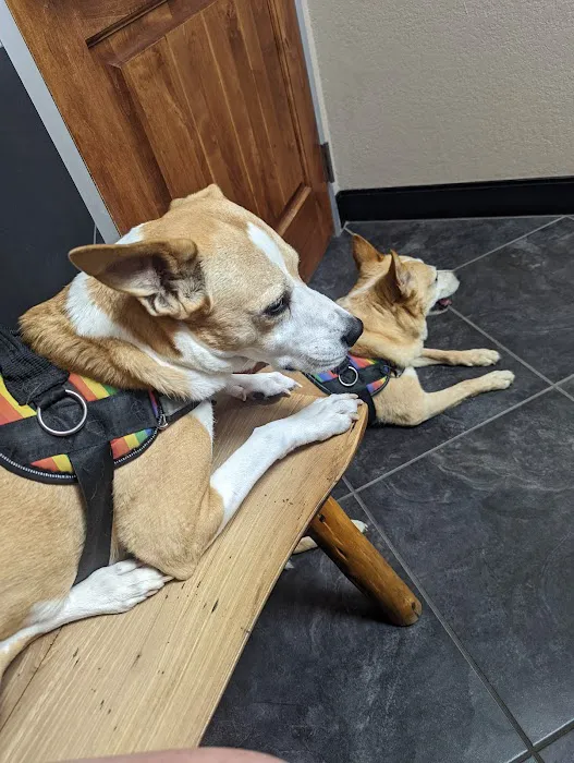 Summerfields Animal Hospital Picture 6