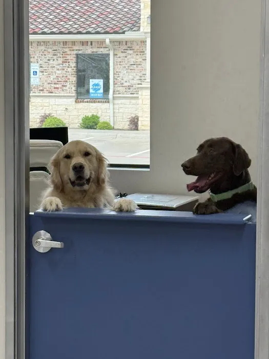 North Fort Worth Spay/Neuter Center Picture 7