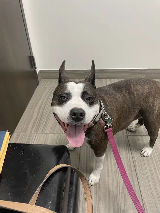 North Keller Animal Hospital Picture 8