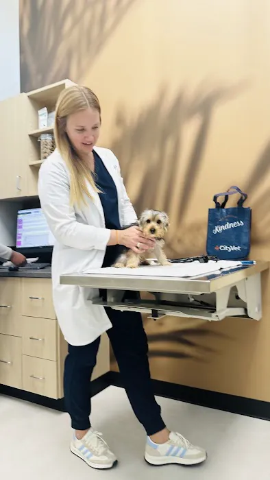 CityVet | Keller Picture 6