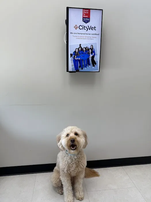 CityVet | Keller Picture 1