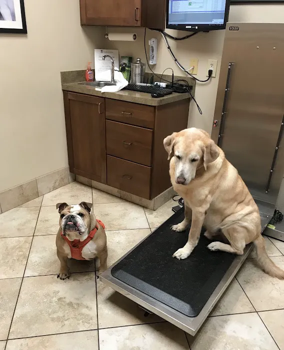 Woodland Springs Veterinary Hospital Picture 6