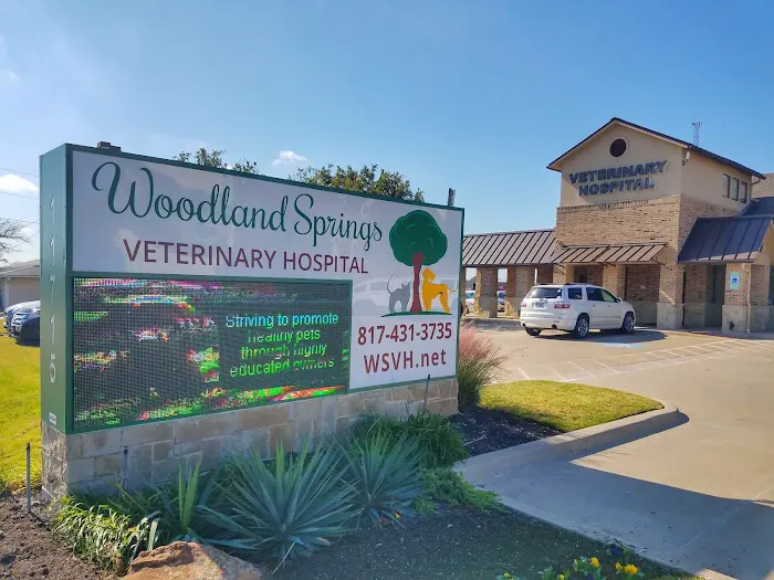 Woodland Springs Veterinary Hospital Picture 3