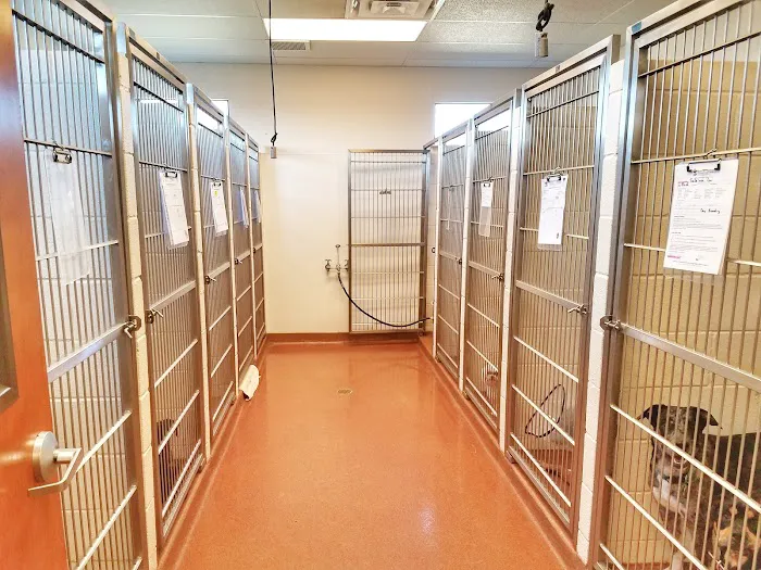 Woodland Springs Veterinary Hospital Picture 4