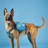 Woodland Springs Veterinary Hospital ico