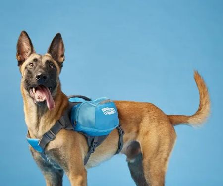 Woodland Springs Veterinary Hospital