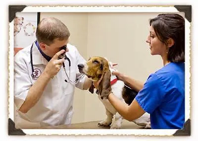 Beth Loter DVM Picture 5