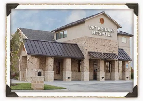 Beth Loter DVM Picture 4