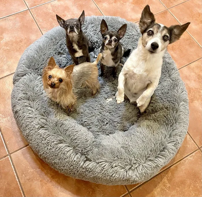 Coronado Pet Hospital Picture 10