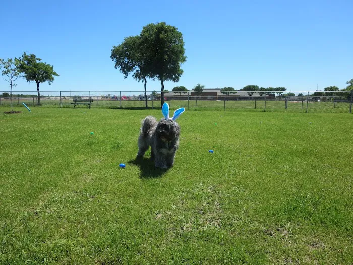 Preston Royal Animal Clinic Picture 10