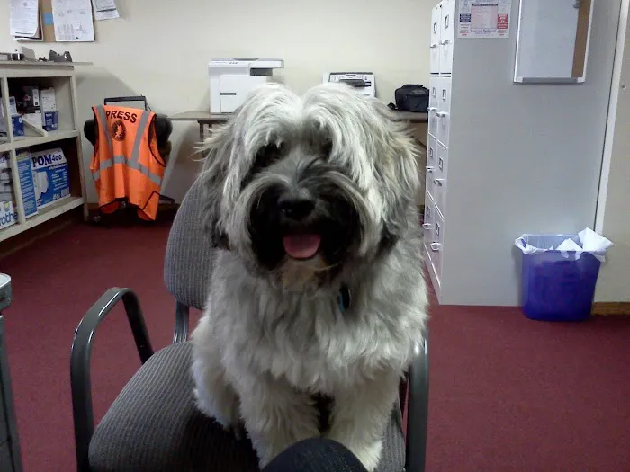Preston Royal Animal Clinic Picture 9