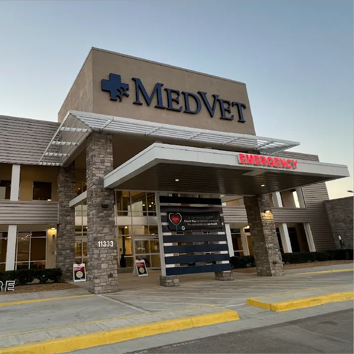 MedVet Dallas Picture 10