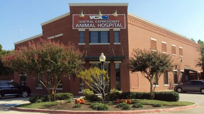 VCA Central Expressway Animal Hospital Picture 3