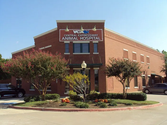 VCA Central Expressway Animal Hospital Picture 5