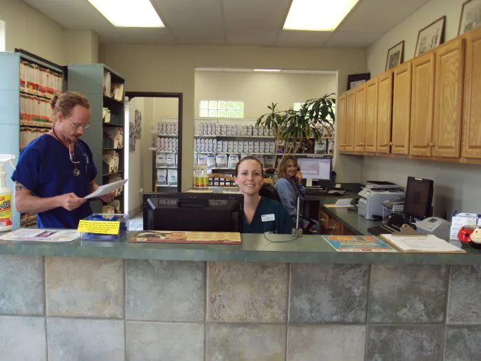 VCA Central Expressway Animal Hospital Picture 6