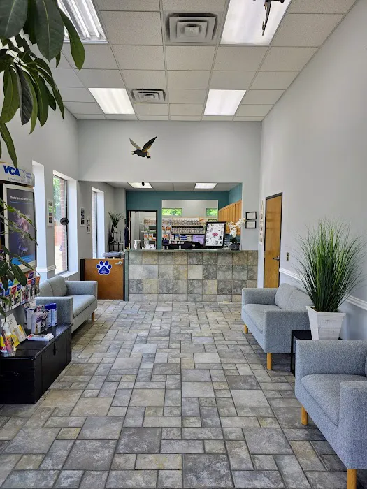 VCA Central Expressway Animal Hospital Picture 10