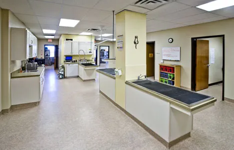 Abrams Forest Veterinary Clinic Picture 6