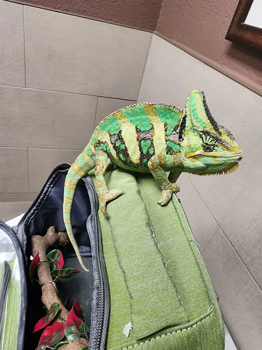 Animal Hospital of Ovilla Picture 2