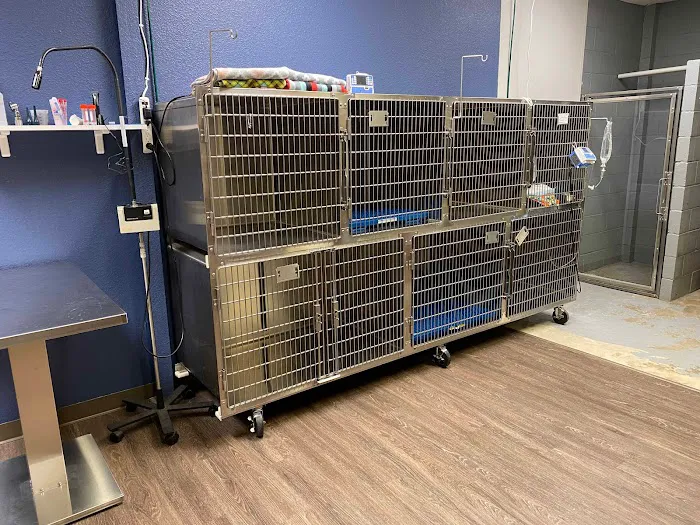 Animal Hospital of Ovilla Picture 8