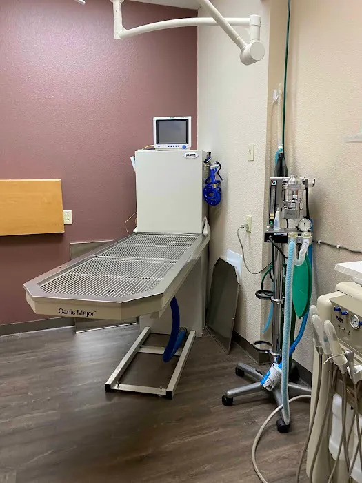 Animal Hospital of Ovilla Picture 3