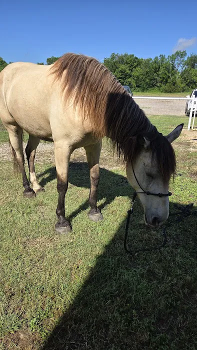 Countryside Veterinarian Clinic Picture 4