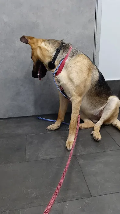 Buckner Animal Clinic Picture 2