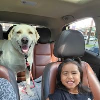 Buckner Animal Clinic ico