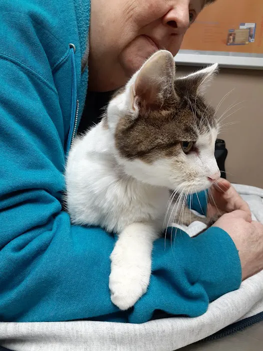 Buckner Animal Clinic Picture 7