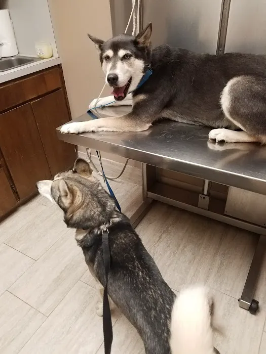 Buckner Animal Clinic Picture 4