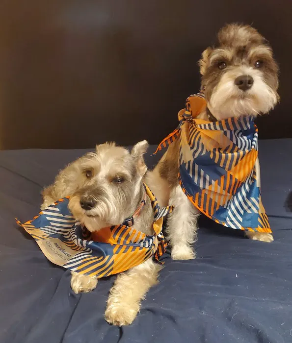 Banfield Pet Hospital Picture 6