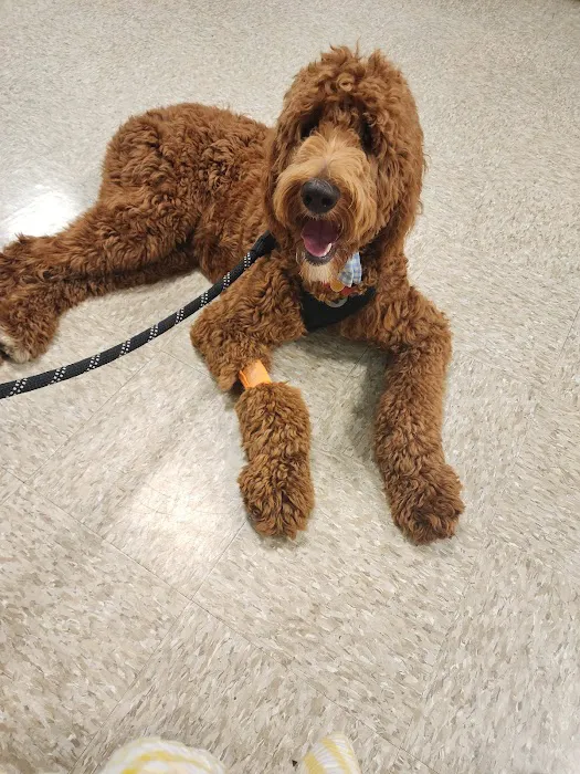 Banfield Pet Hospital Picture 7