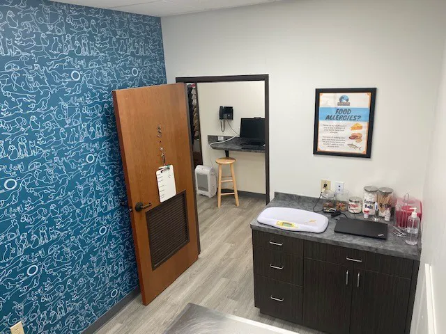 Thrive Pet Healthcare Urgent Care - Mesquite Picture 6