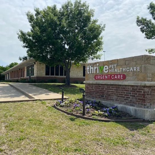 Thrive Pet Healthcare Urgent Care - Mesquite Picture 9