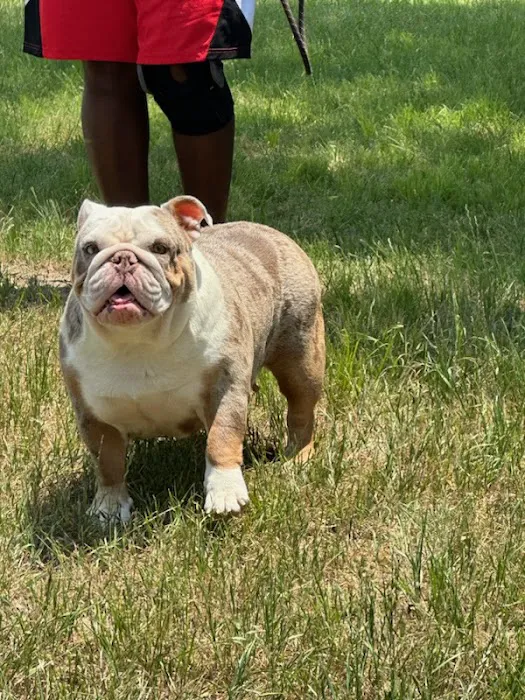 Life Animal Care Picture 4