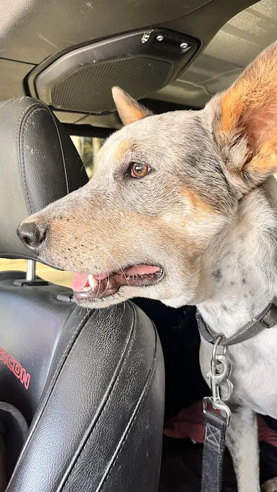 Emergency Pet Clinic of Texas Picture 4