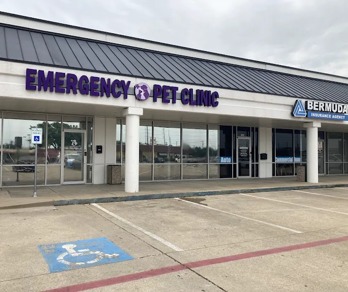 Emergency Pet Clinic of Texas Picture 10