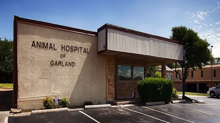 Animal Hospital of Garland Picture 10