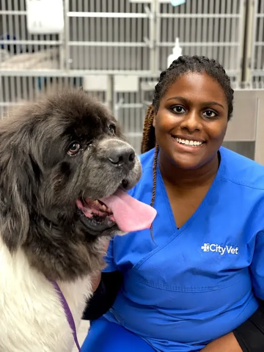 CityVet | Preston Forest Veterinary Clinic & Urgent Care Picture 6
